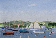 High tide activity, Bembridge Harbour