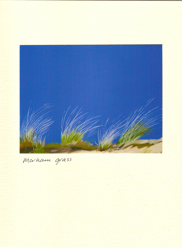 MarhamGrass MarhamGrass