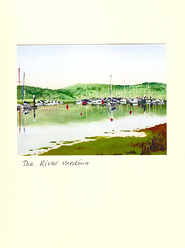 MedinaRiver