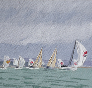 Premier Flair leads in to Gurnard fine reaching under spinnaker