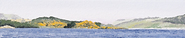 The yellow gorse on Eilean Mor, Across Loch Gilp with Loch Fyne beyond