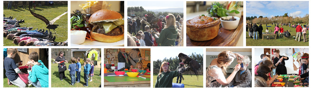 Fun Day Collage Fun Day Collage