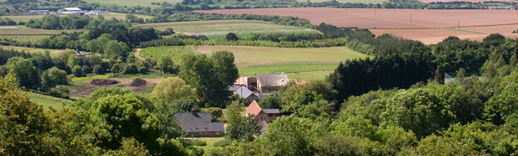 The Garlic Farm from the downs The Garlic Farm from the downs
