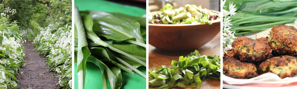 wild garlic