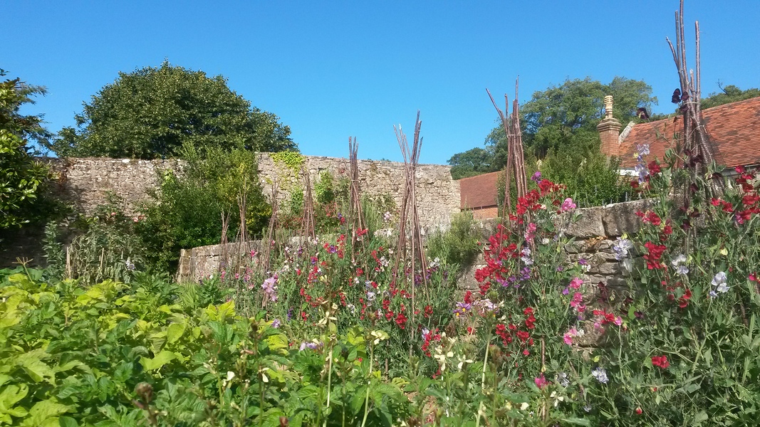 Walled garden