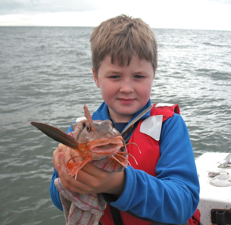424129 800x