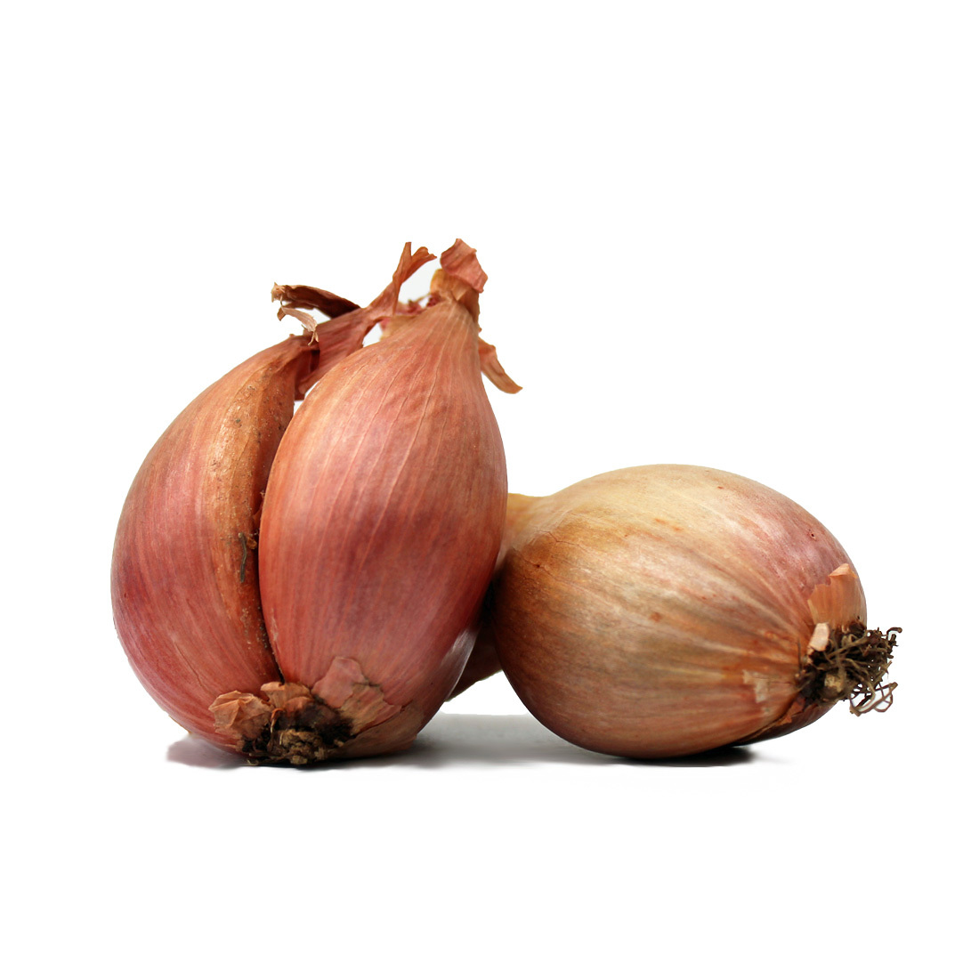Longor Shallot 500g Products The Garlic Farm for all things garlic