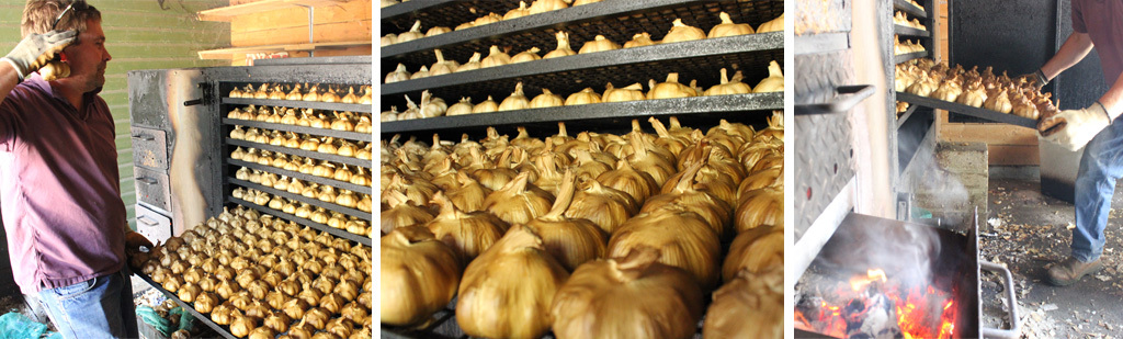 Smoking garlic