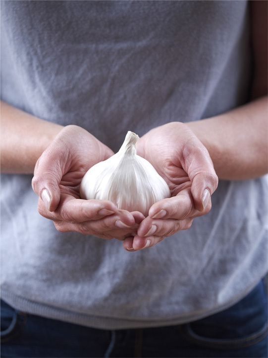 National Garlic Day Event The Garlic Farm for all things garlic