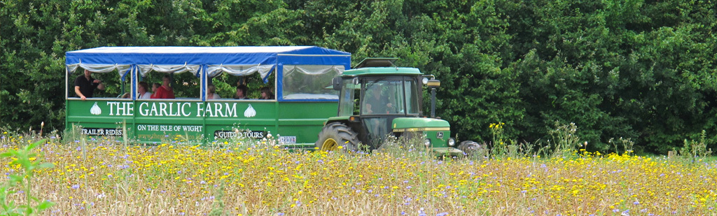 Tractor rides
