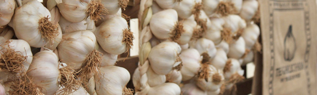 Garlic Festival