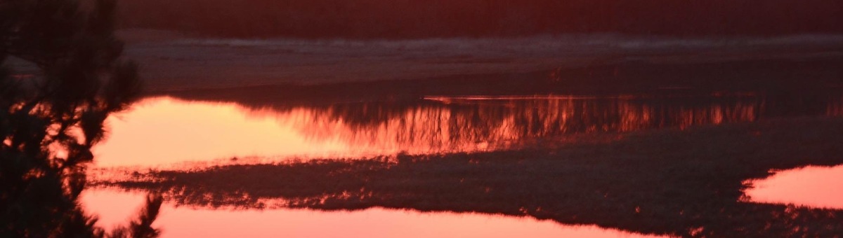 501557_1200x340f