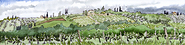 tuscan_monterigg.jpg