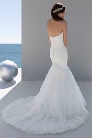 download (2).jpg rosa back.jpg download (2).jpg rosa back.jpg