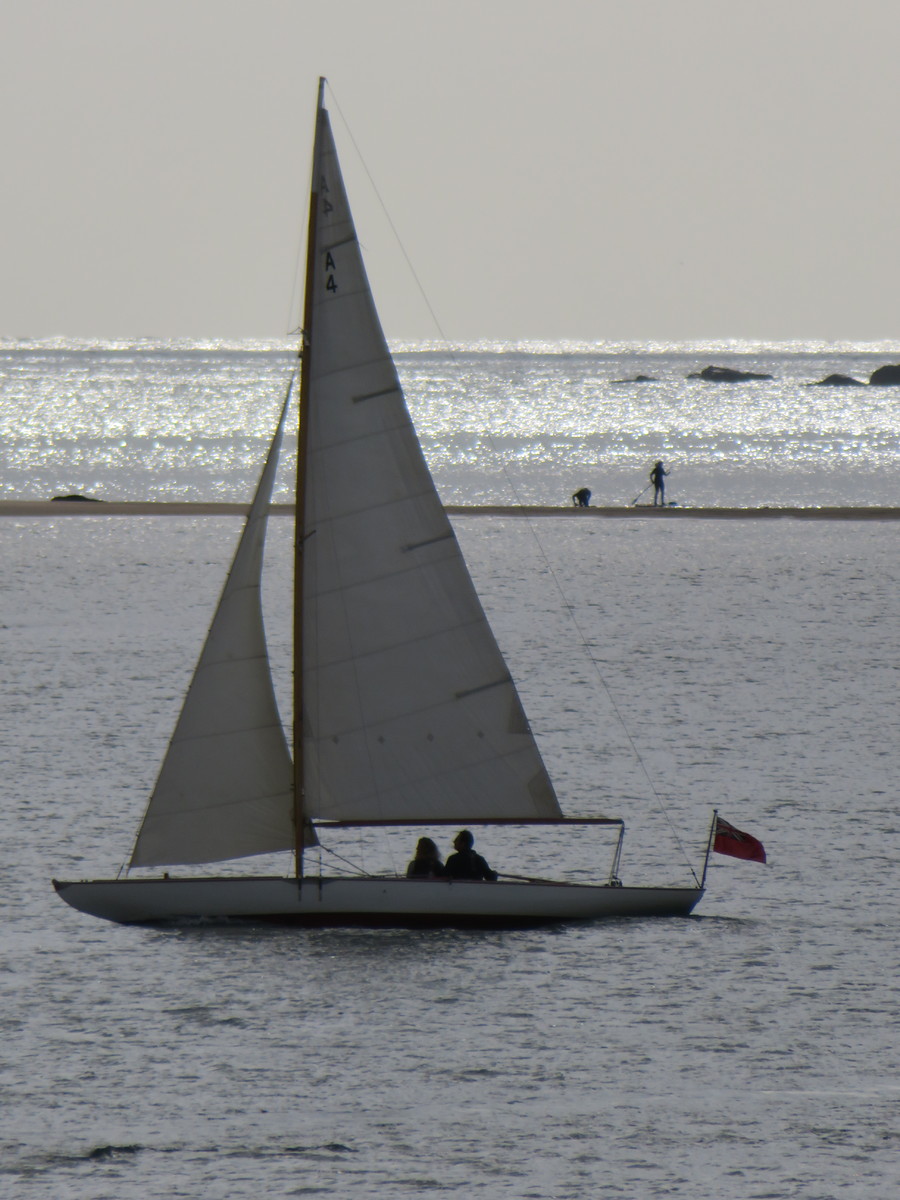 590364_1200x