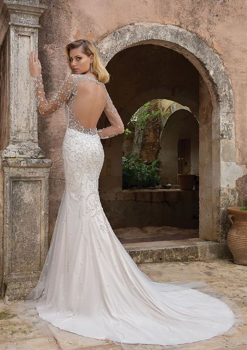 Scarlet (1).jpg Scarlet (1).jpg