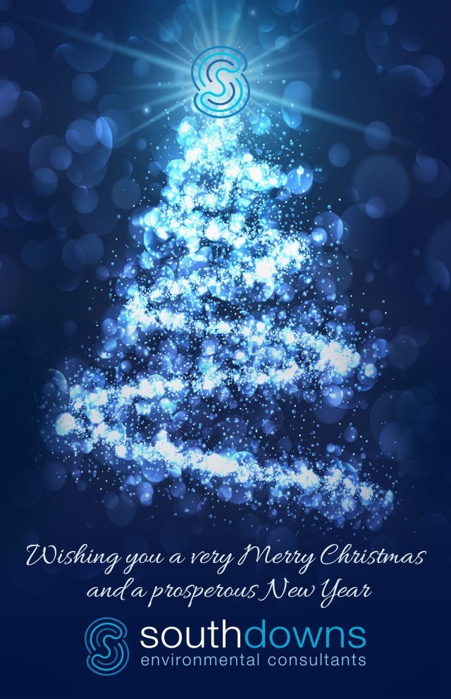 xmas18.jpg xmas18.jpg