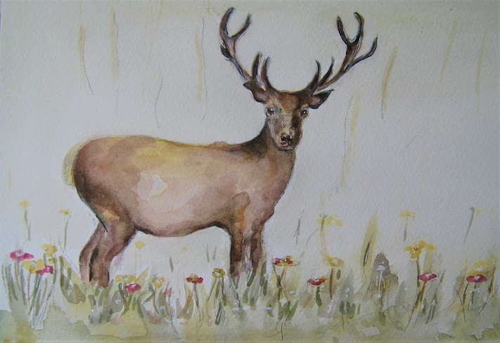 Animals in the Countryside Watercolour Workshop Animals in the Countryside Watercolour Workshop