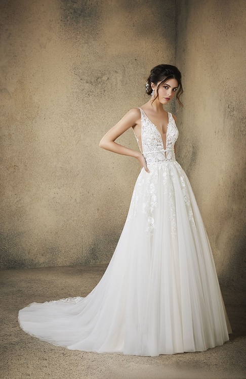 5763-Rosa 3.jpg 5763-Rosa 3.jpg