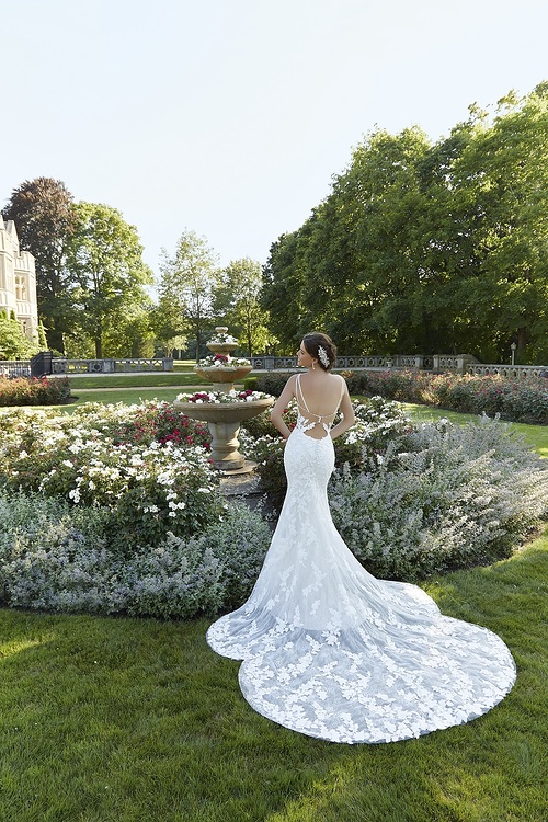 Suri 5802-0190 (1).jpg Suri 5802-0190 (1).jpg