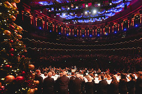rah_52529682434 copy.jpg rah_52529682434 copy.jpg