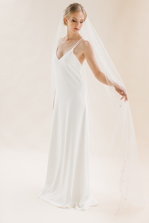 Moonflower 26.jpg Moonflower 26.jpg
